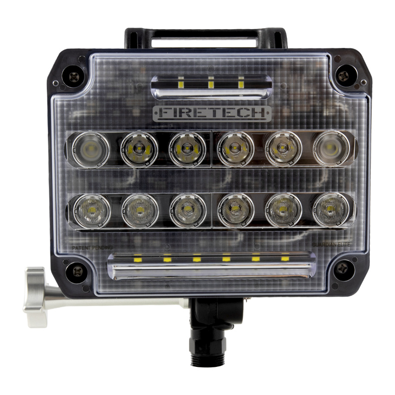 Pole Mounted Guardian® Elite LED Scene Light